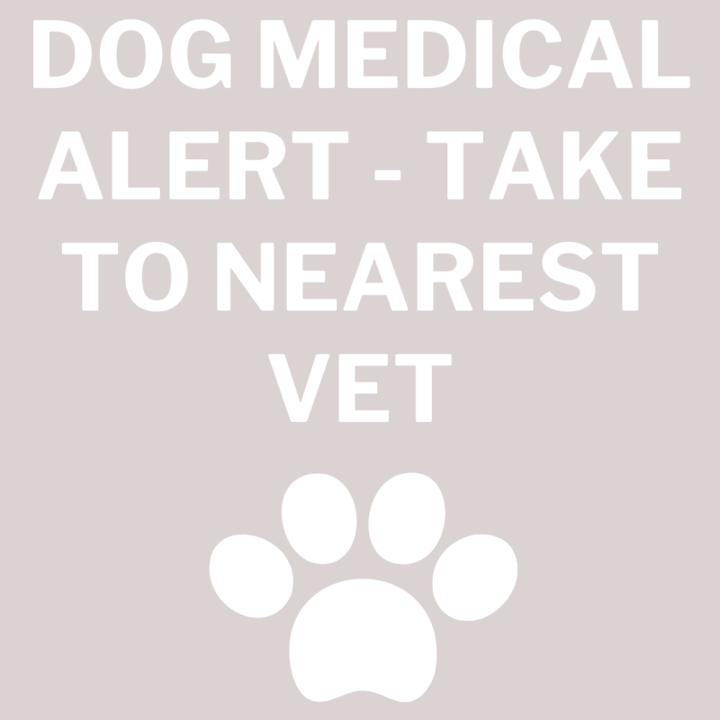 VINYL DECAL STICKER - DOG MEDICAL ALERT - TAKE TO NEAREST VET