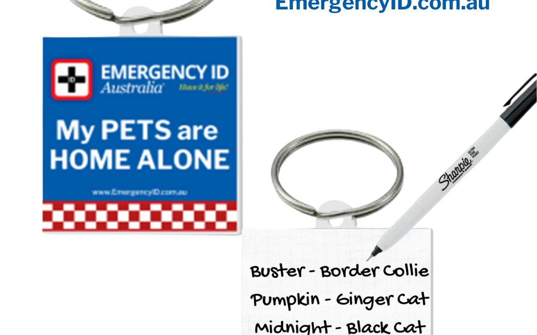 Pet home alone key ring
